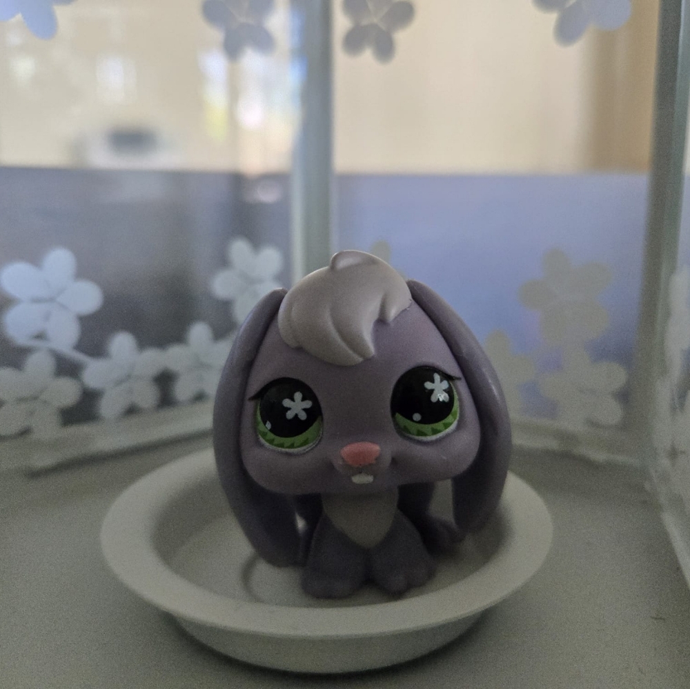 648 Lop Rabbit Lps